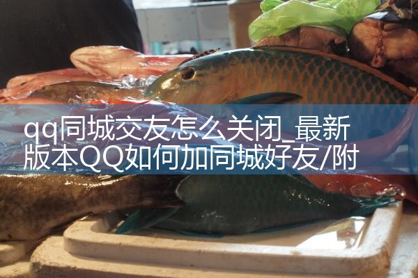 qqͬǽôر